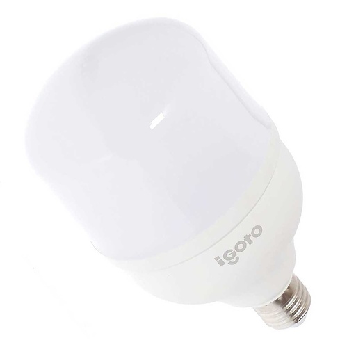 [F10530] FOCO LED DE ALTA POTENCIA T100 30W 6500K (LUZ FRIA) IGOTO
